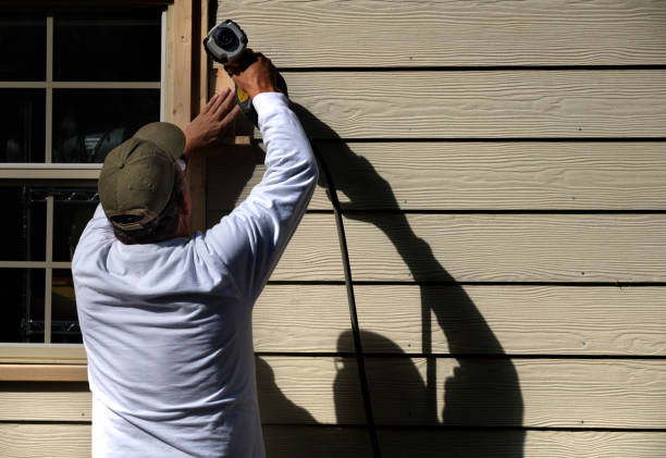 Best Vinyl Siding Installation  in Ann Arbor, MI