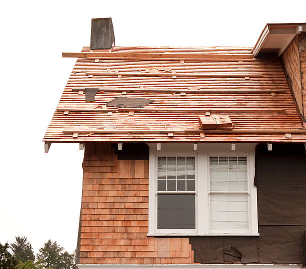 Best Vinyl Siding Installation  in Ann Arbor, MI